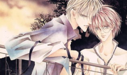 bl动漫大尺度,BL动漫大尺度世界揭秘